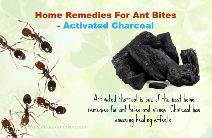 29 Home Remedies For Ant Bites And Stings Swelling & Itching