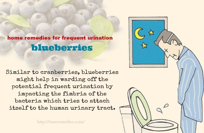 home remedies for frequent urination-blueberries