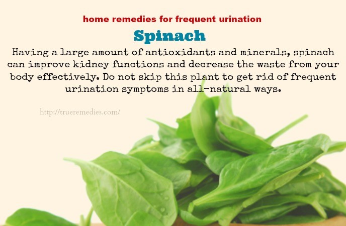 home remedies for frequent urination-spinach