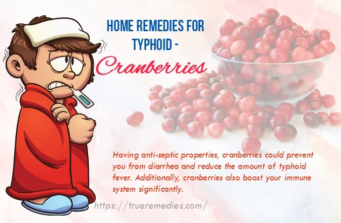 home remedies for typhoid - cranberries