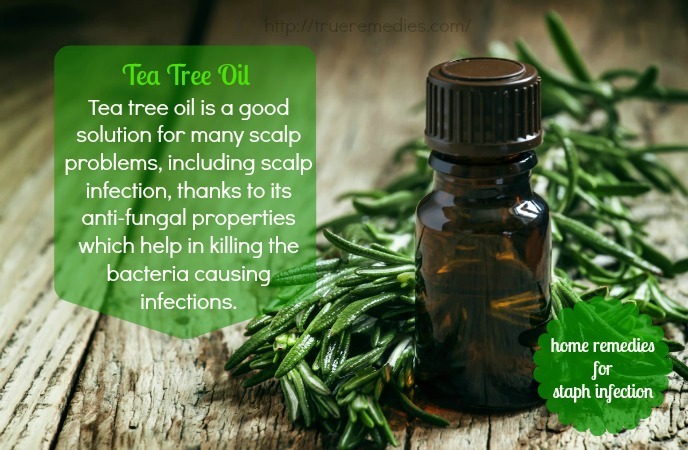 tea tree oil 