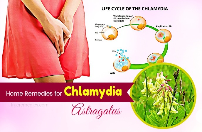 home remedies for chlamydia - astragalus