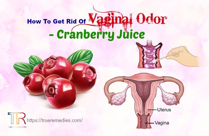 how to get rid of vaginal odor - cranberry juice