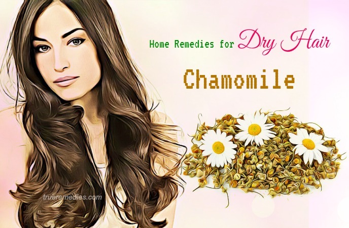 home remedies for dry hair - chamomile