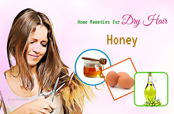 home remedies for dry hair 