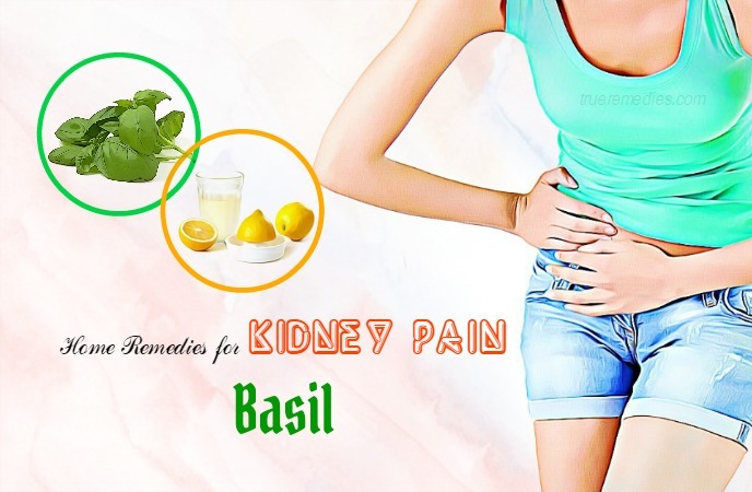 home remedies for kidney pain 