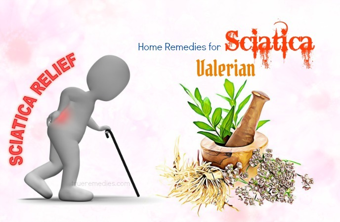 home remedies for sciatica - valerian