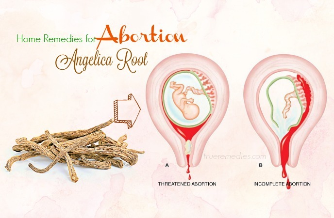 home remedies for abortion 