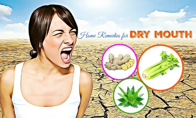 home remedies for dry mouth