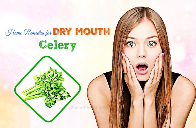 home remedies for dry mouth - celery