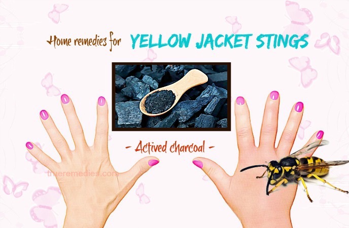 yellow jacket bee sting treatment