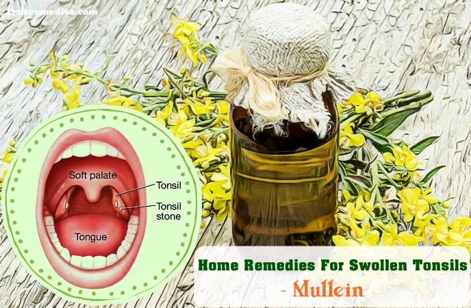 home remedies for swollen tonsils - mullein