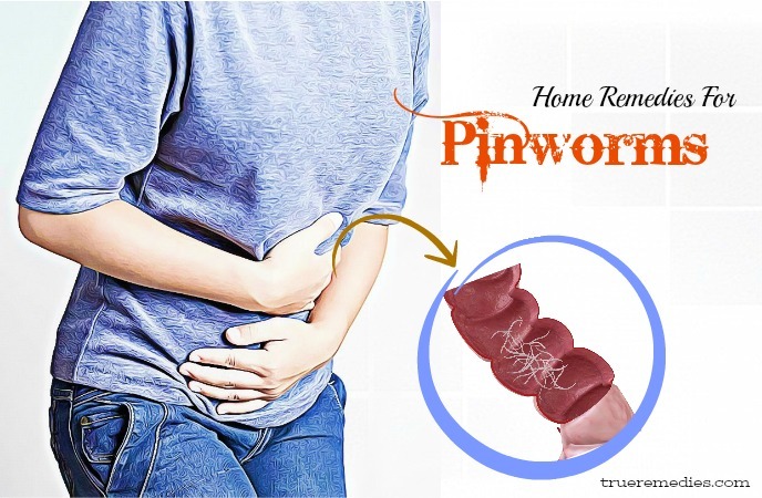 home remedies for pinworms - pathological and disease cycle