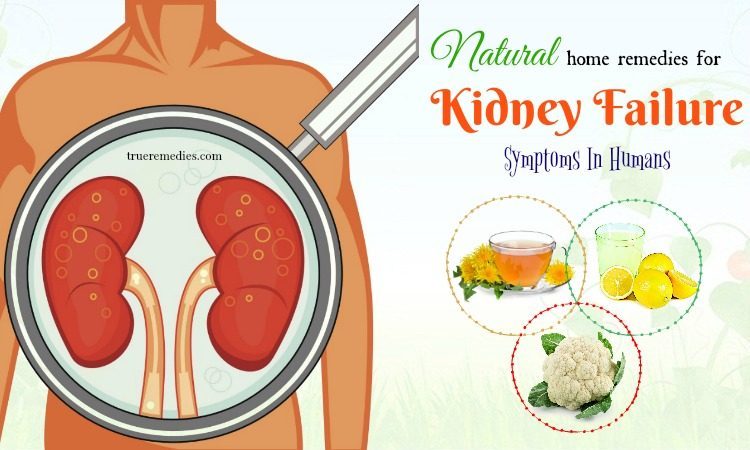 21 Natural Home Remedies For Kidney Failure Symptoms In Humans