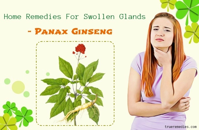 home remedies for swollen glands - panax ginseng. 