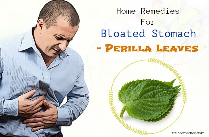 home remedies for bloated stomach - perilla leaves