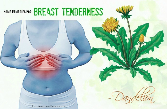 home remedies for breast tenderness - dandelion