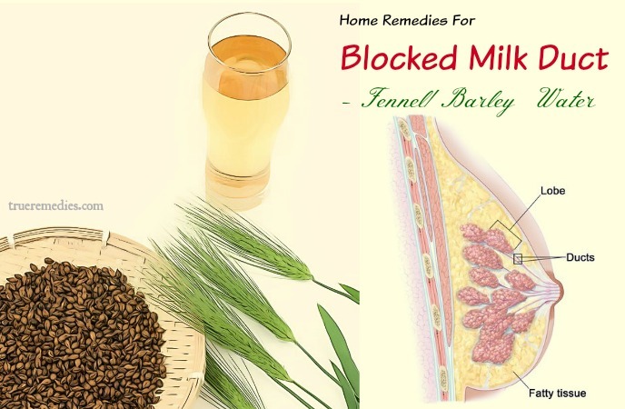 home remedies for blocked milk duct - fennel barley water