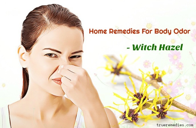 home remedies for body odor - witch hazel