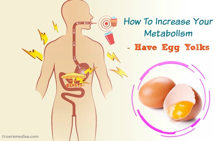 how to increase your metabolism rate - have egg yolks