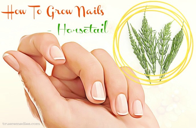 how to grow nails - horsetail