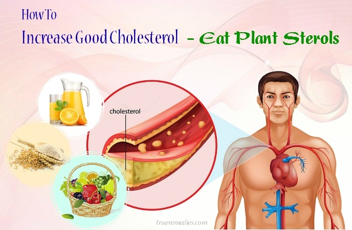 how to increase good cholesterol levels naturally - eat plant sterols