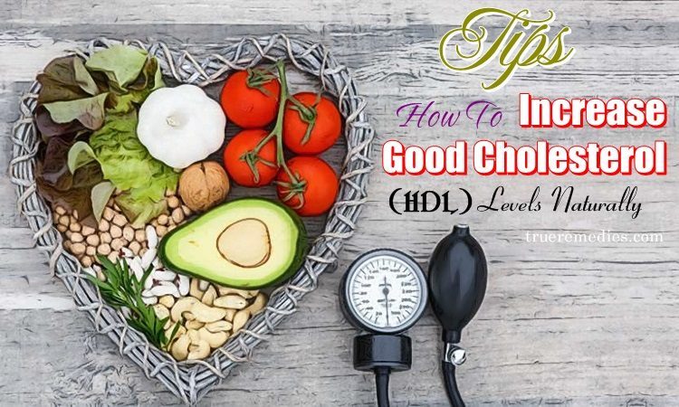tips on how to increase good cholesterol