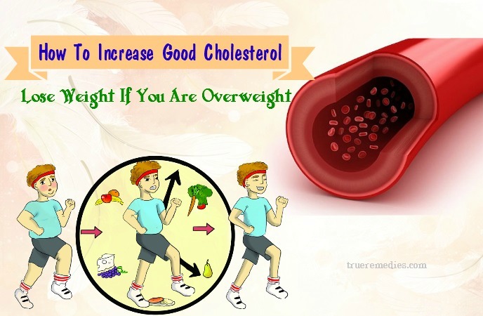 how to increase good cholesterol - lose weight if you are overweight
