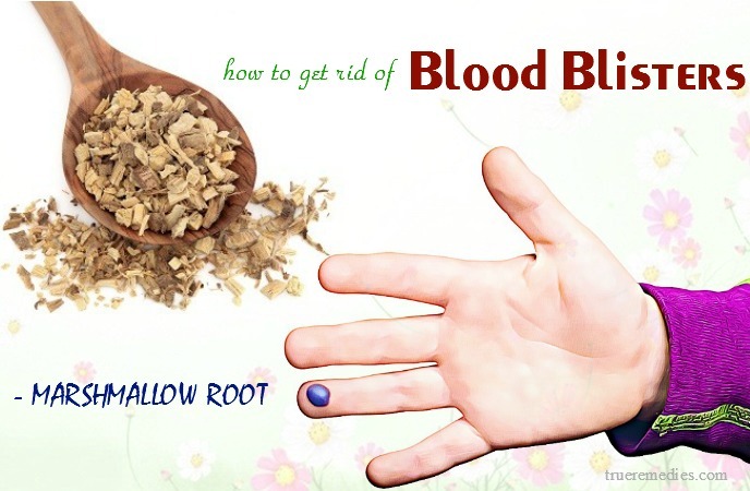 how to get rid of blood blisters in mouth - marshmallow root