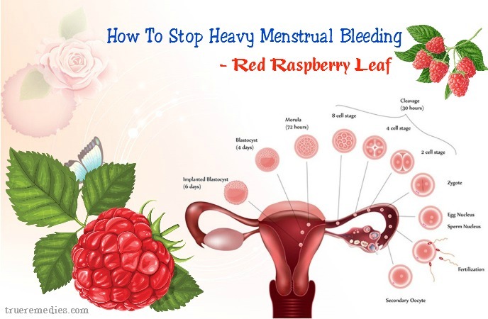 tips on how to stop heavy menstrual bleeding - red raspberry leaf