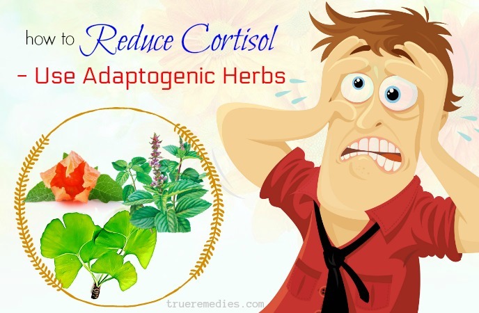 how to reduce cortisol levels - use adaptogenic herbs