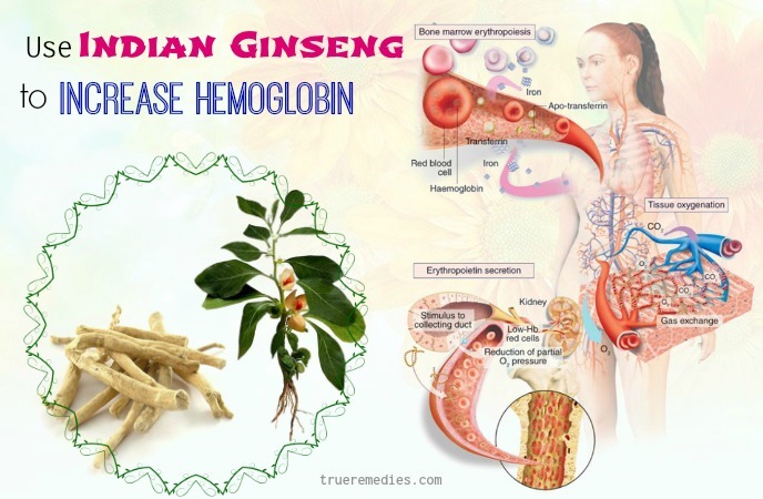 how to increase hemoglobin level - use indian ginseng to increase hemoglobin levels