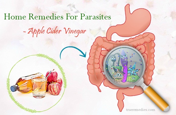 home remedies for parasites - apple cider vinegar