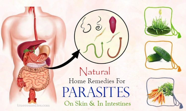 home remedies for parasites on the skin