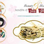 health benefits of white willow bark