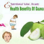 nutritional value and health benefits of guava