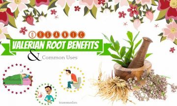 organic valerian root benefits