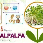 beauty benefits of alfalfa sprouts