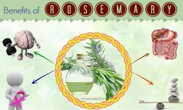 health benefits of rosemary