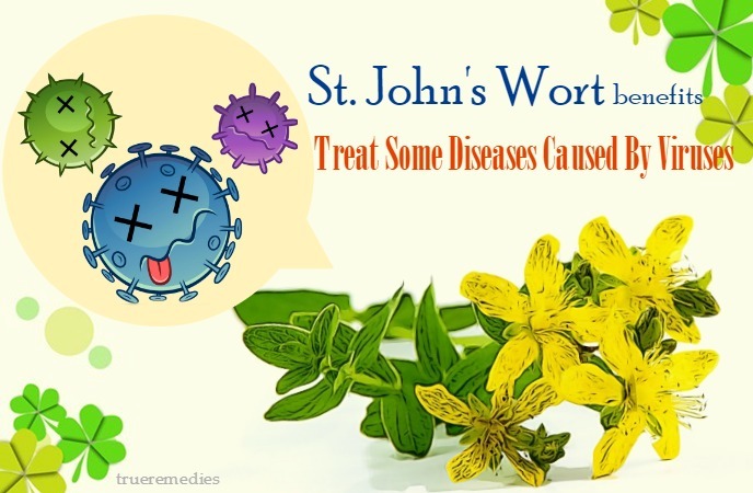 st. john's wort benefits and side effects - treat some diseases caused by viruses