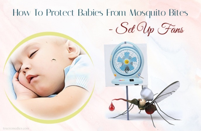 how to protect babies from mosquito bites - set up fans