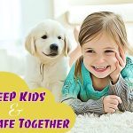 top ways on how to keep kids & pets safe together
