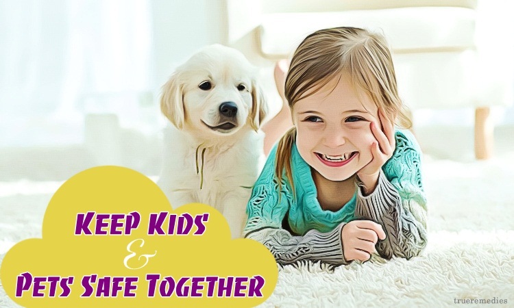 top ways on how to keep kids & pets safe together