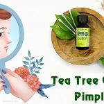 tea tree oil for pimples on scalp