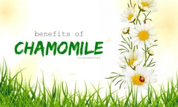 health benefits of chamomile