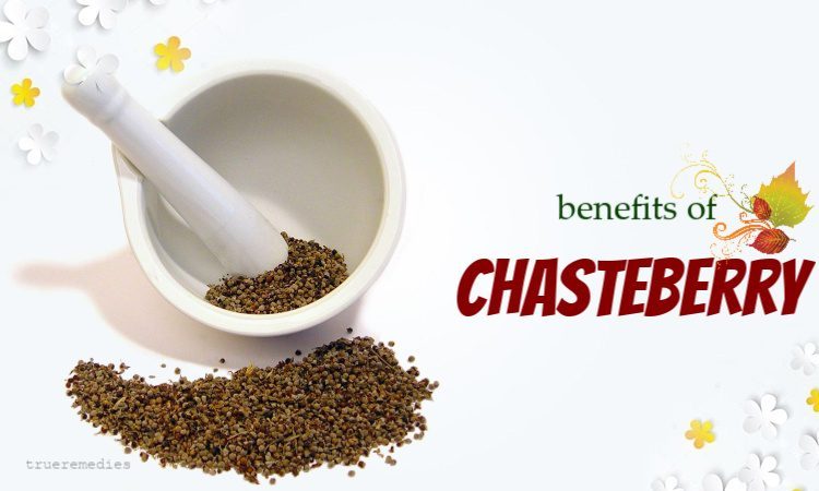 health benefits of chasteberry