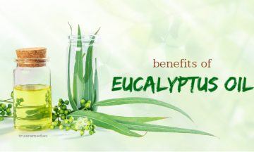 health benefits of eucalyptus oil