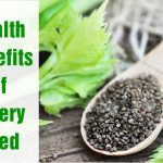 health benefits of celery seed extract